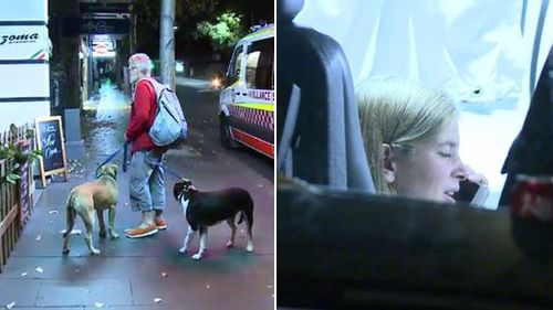 Sydney woman in hospital after suffering dog bites to her leg 