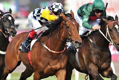 Precedence, Bart Cummings' Melbourne Cup hopeful, won the  Queen Elizabeth Stakes.