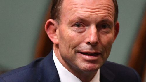 Tony Abbott has put forward a proposal for senate appointments.(AAP)