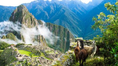 18. Lares and Royal Inca Trail, Peru