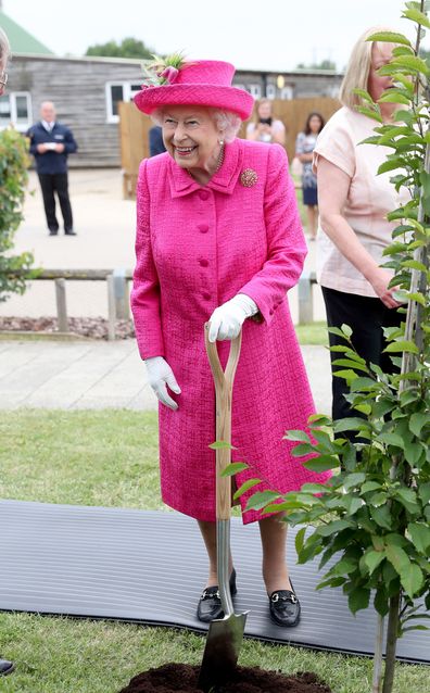 Queen says she is perfectly capable of planning a tree