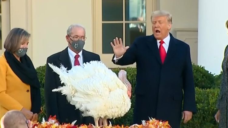 Turkeys Corn & Cob Up for White House Pardon Tuesday