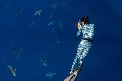 Snorkel with sharks in Hawaii with One Ocean Diving