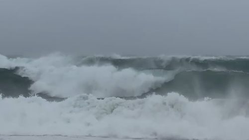 Manly ferry faces off with massive wave earlier today