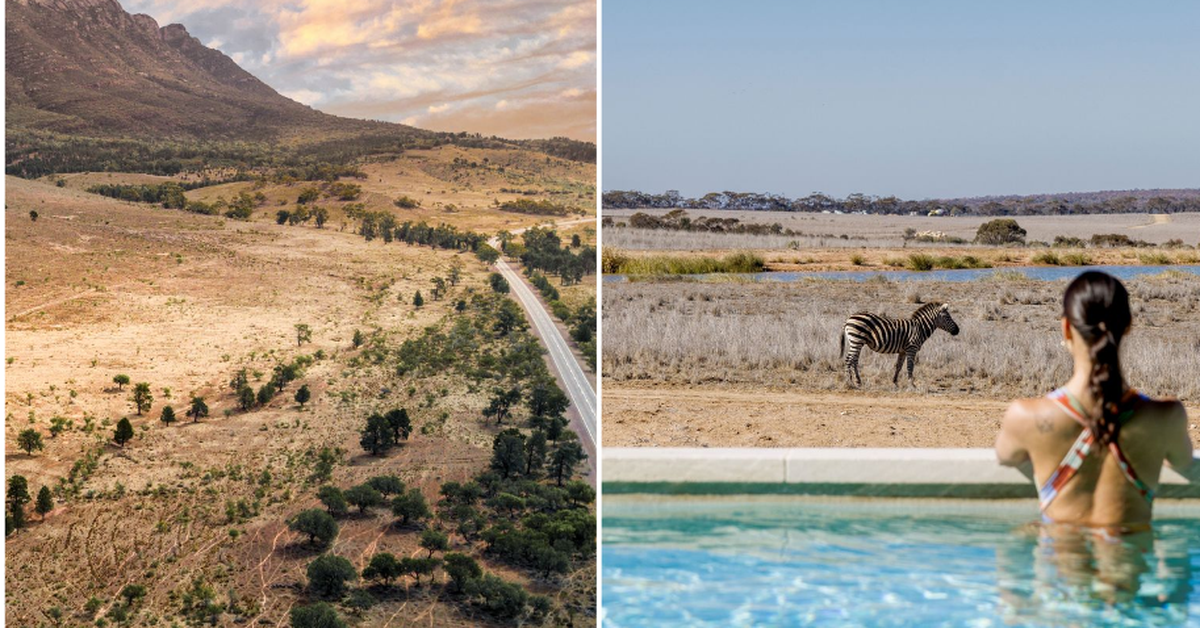 South Australia travel guide: ‘This holiday spot has flown u…