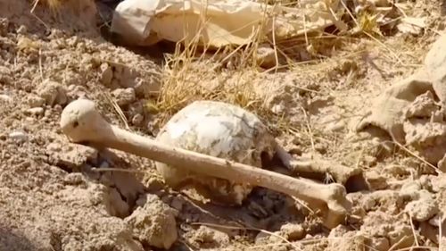 Up to 400 bodies are believed to be buried in the mass graves. (AAP)