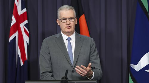 Minister for Home Affairs, Minister for Immigration and Citizenship, Minister for Cyber Security, Minister for the Arts and Leader of the House Tony Burke during a press conference at Parliament House in Canberra on Wednesday 11 March 2026. 