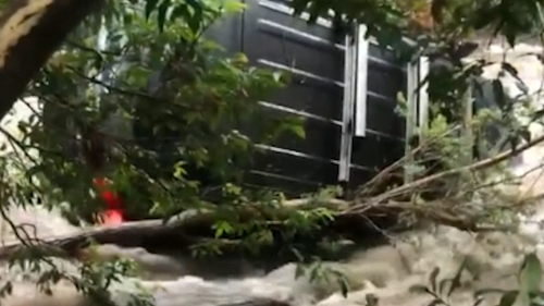 Four people have been rescued after cars were swept into floodwaters in NSW.