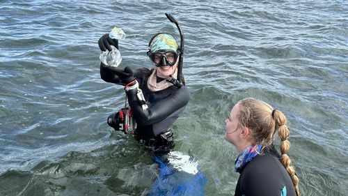 Rowan Carew in the field holding a White's Seahorse she collected from a bed of sea grass.