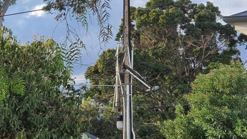 Falling trees, lightning strikes and high winds resulted in widespread outages and has caused extensive damage to the power network.