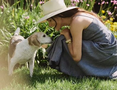 meghan markle rescue dog beagle guy tribute video instagram