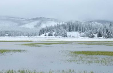 Gorgeous scenery after unseasonal snow in Yellowstone National Park
