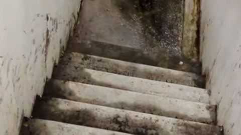 The putrid stairwell in the underground level of the apartment block - reportedly in Sydney - has caused a stir online after it was posted by user @thekenjidiaries.