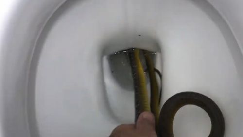 A snake has been pulled out of a Queensland toilet.