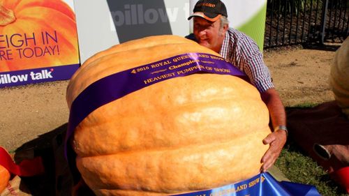 Queensland man’s 261kg pumpkin takes out show glory