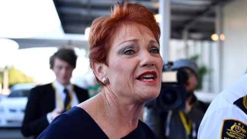 One Nation leader Pauline Hanson says she's "disgusted" by the Al Jazeera report.