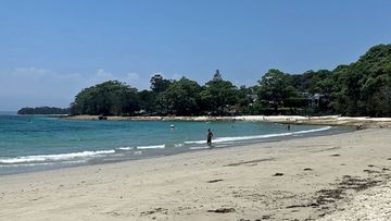 A woman has been mauled to death on a Jervis Bay beach.