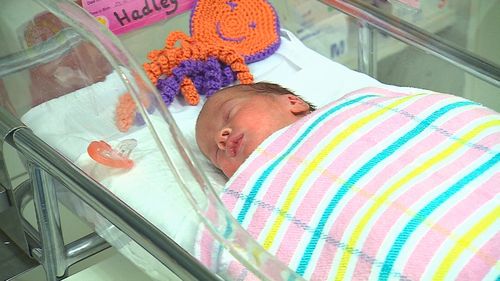 35 tiny babies will be moved 100m down the hall to the new facility on Monday. Picture: 9NEWS