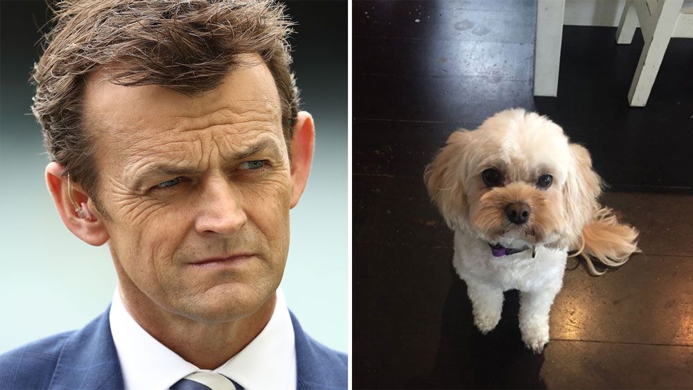 Former Australian wicketkeeper Adam Gilchrist takes to social media to find lost dog