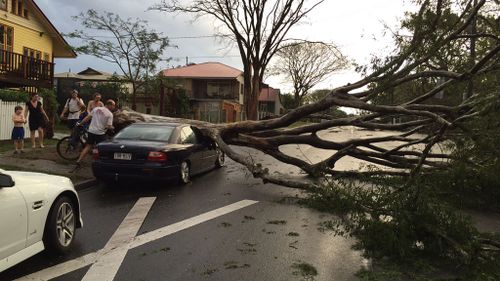 Damage bill mounts as Brisbane storm insurance claims continue