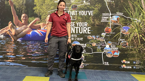 Zinta was placed at Darwin Airport as part of the Albanese Government's tough new biosecurity defences.