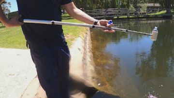 WA residents warned of hidden danger in waterways after discovery of deadly parasite