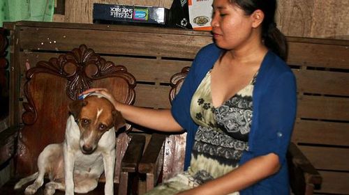 Filipino woman reunites with dog missing since last year's typhoon