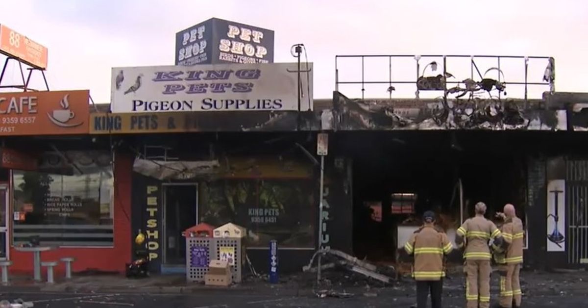 Suspected arson attack on acai restaurant spreads to pet store next door