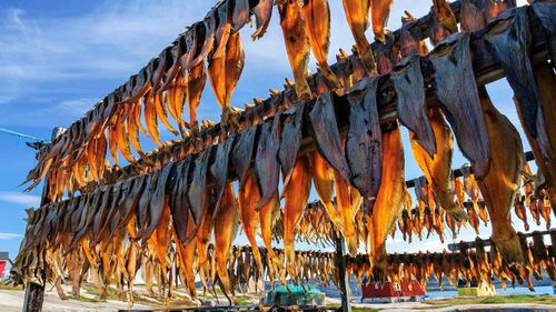 https%3A%2F%2Fprod.static9.net.au%2Ffs%2F3de0a0c5-e5b2-4f8c-93f4-5cfbf213fbbc