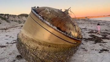 Mystery object washes up on beach near Green Head, WA.