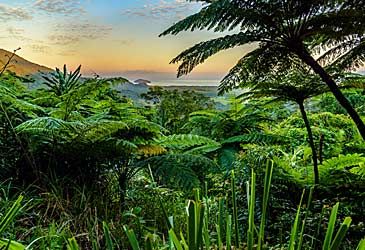Which park is Australia's largest continuous rainforest?