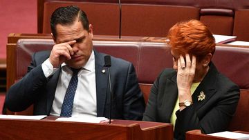 Remaining One Nation senators Peter Georgiou and Pauline Hanson. (AAP)