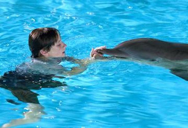 Dolphin Tale