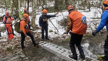 Two men die in forest in Washington State while searching for Bigfoot