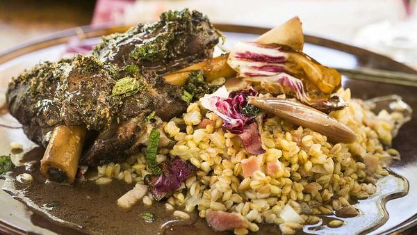 Mike Eggert's Saltbush lamb shanks with wattleseed, grains and bitter leaves