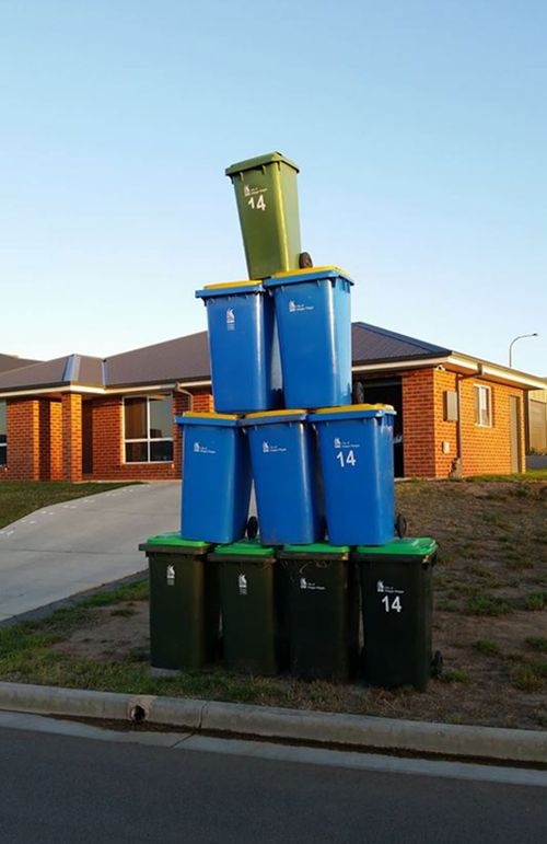 Wagga residents vent their frustration with 'Bin Sculptures' Facebook protest