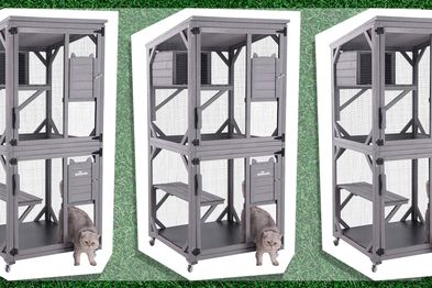 9PR: Aivituvin Catio Outdoor Cat House