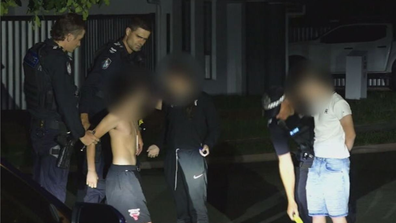 Gold Coast alleged scalpel robbery on woman and dog teens arrested