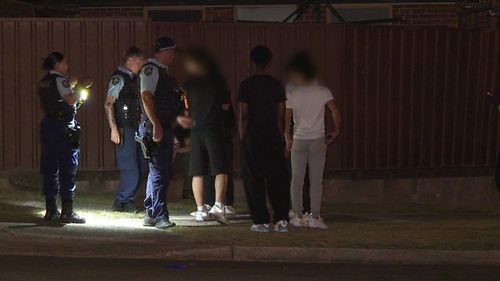 A teenage birthday party has descended into chaos in Mt Druitt after a 17-year-old was stabbed in a frenzied backyard brawl.