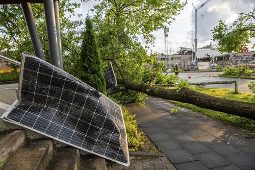     一个被毁坏的太阳能电池单元位于路边一棵倒下的树旁边。 一场风暴也对帕德博恩造成了重大破坏。  