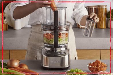 9PR: Breville the Paradice 9 Food Processor, Brushed Stainless Steel