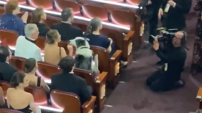 A dog is filmed clapping in the audience ahead of the Oscars to simulate Messi the dog clapping in the audience during the awards
