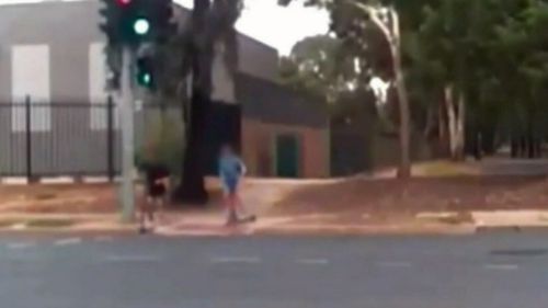 News Adelaide South Australia dash cam motorcycle crash teenage rider boy injured