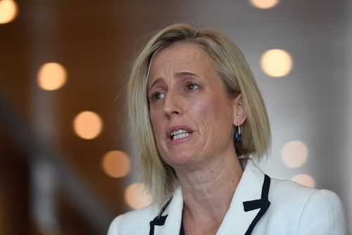 Opposition small business spokeswoman Katy Gallagher is one of several MPs who could be referred to the High Court. (AAP)