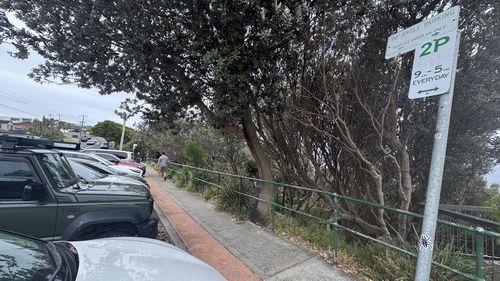 Questi erano gli unici segnali nelle immediate vicinanze del punto in cui Karina aveva parcheggiato dietro al marciapiede lungo la Narrabeen Park Parade, nelle spiagge settentrionali di Sydney.