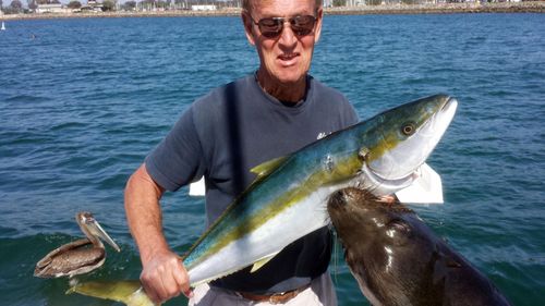 The sea lion leaps out of the water and bites into Mr Carlin as it steals his fish.