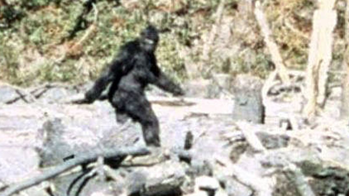 Oklahoma lawmaker introduces bill to establish Bigfoot hunting season