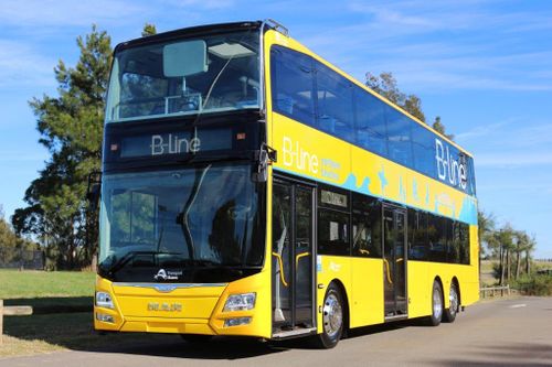 The new $500 million B-Line bus service also launches on Sunday. (Supplied)