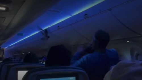 The Delta Airlines flight from ï»¿Minneapolis to Madison, Wisconsin, was delayed on Saturday (local time) when two pigeons started flying through the cabin. 