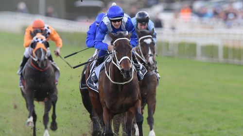 Waller has said Winx has never been in better shape.